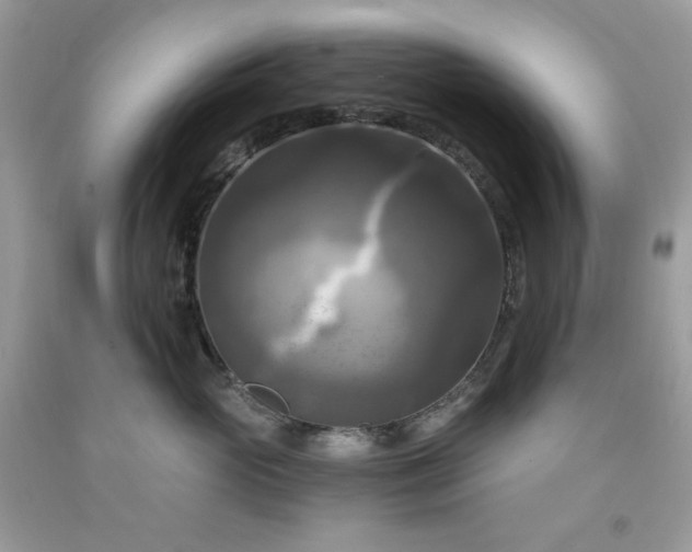 X0000091640765200709060937
