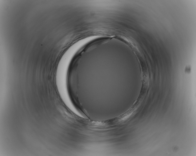 X0000091640766200709060938
