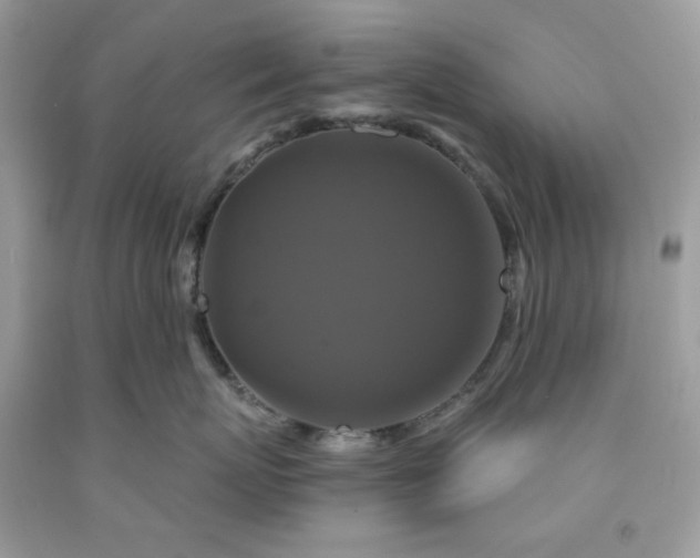 X0000091640767200709060938