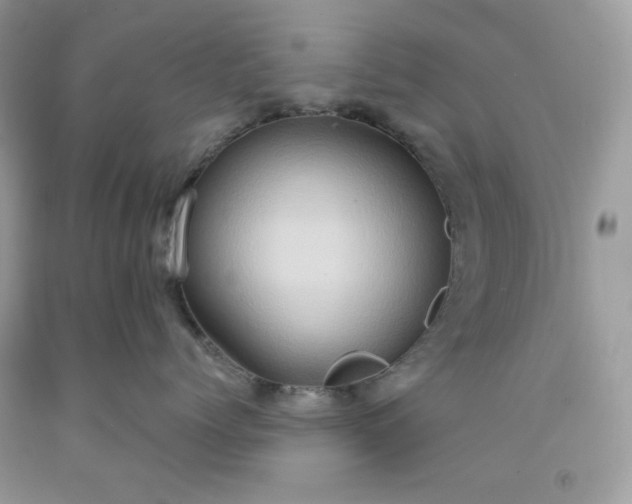 X0000091640768200709060938