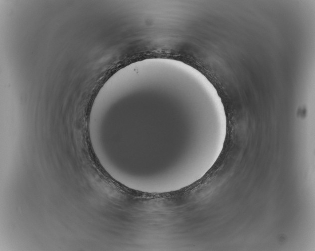 X0000091640769200709060937