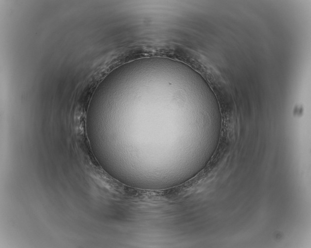 X0000091640770200709060937
