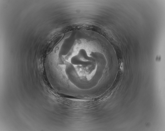 X0000091640771200709060937