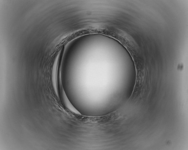 X0000091640773200709060937