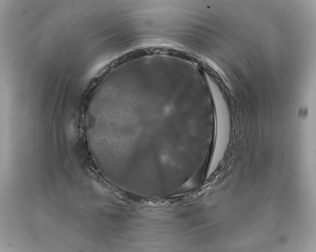 X0000091640775200709060937