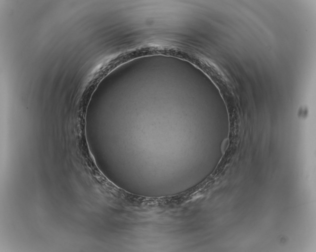 X0000091640776200709060937