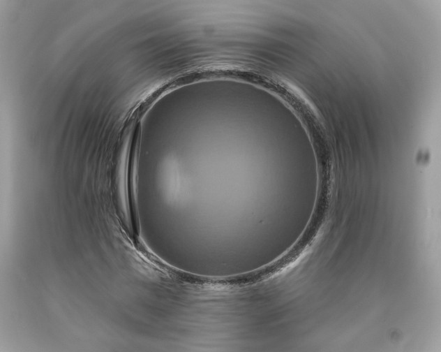 X0000091640777200709060937