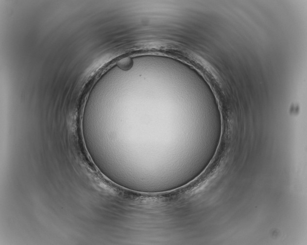 X0000091640778200709060937
