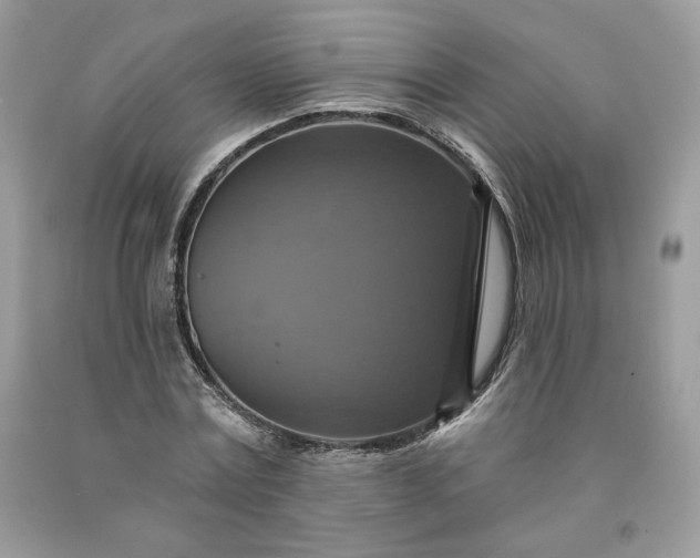 X0000091640779200709060937