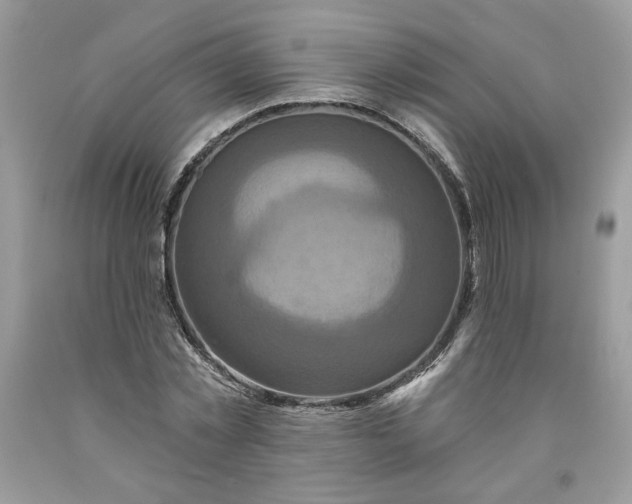 X0000091640781200709060936