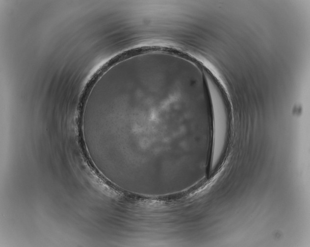 X0000091640783200709060936