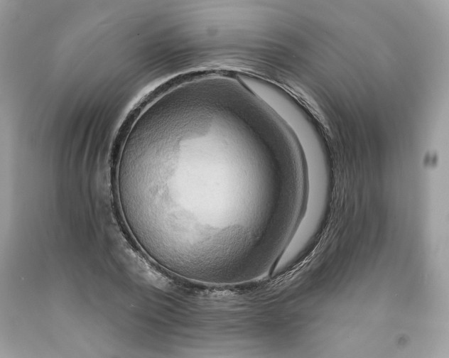 X0000091640784200709060936