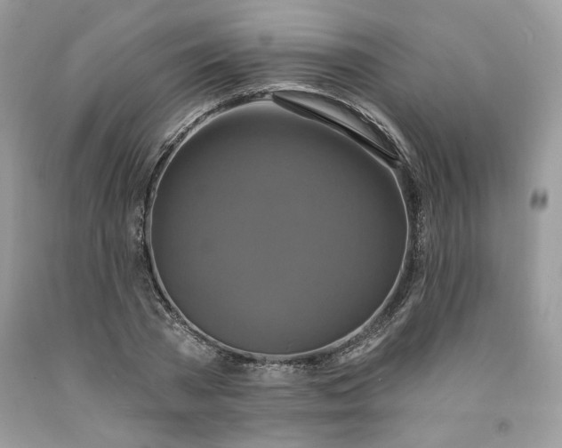 X0000091640785200709060936