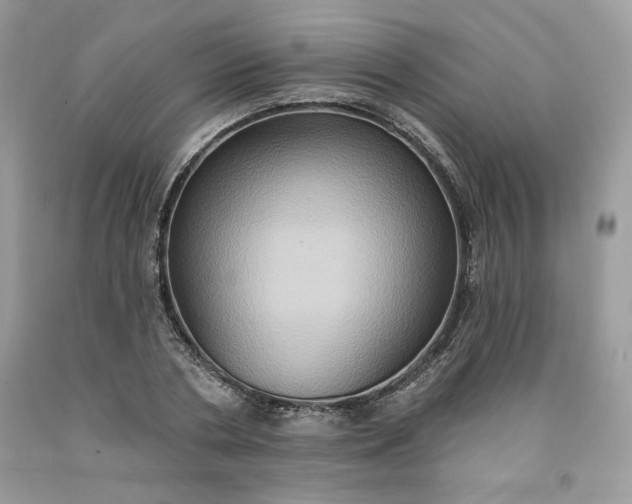 X0000091640786200709060936