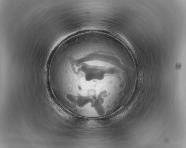 X0000091640787200709060936