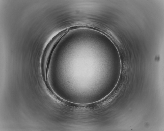 X0000091640788200709060936