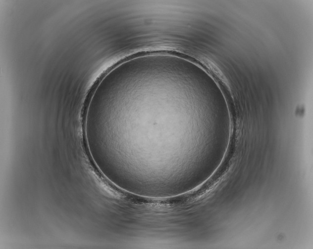 X0000091640789200709060936