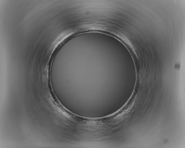 X0000091640790200709060936