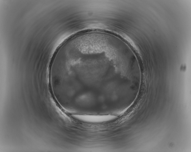 X0000091640791200709060936