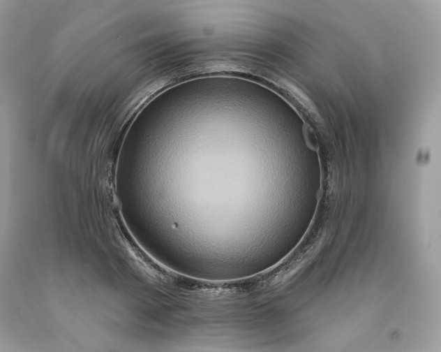 X0000091640793200709060936