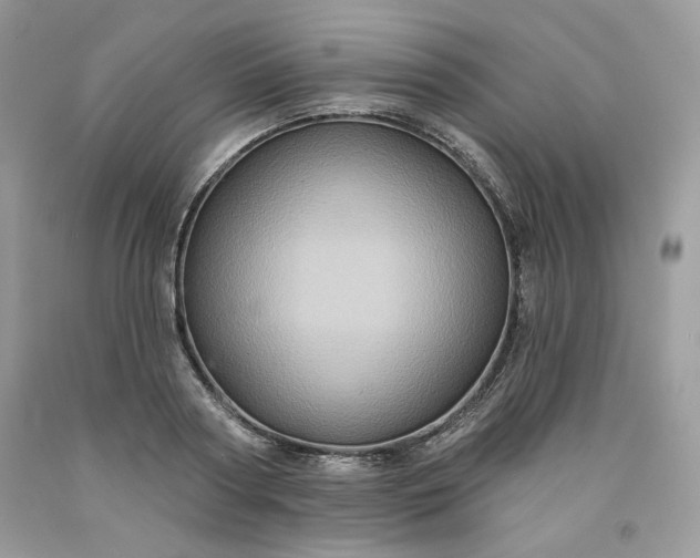 X0000091640794200709060936