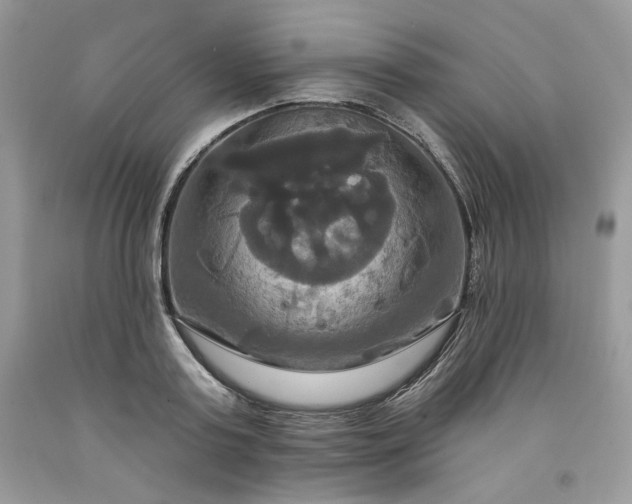 X0000091640795200709060936