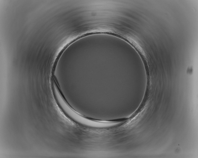 X0000091640797200709060936
