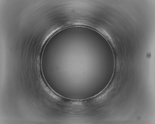 X0000091640798200709060936