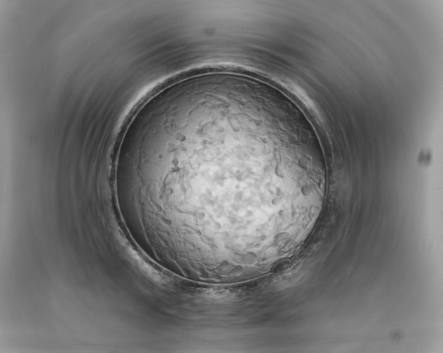 X0000091640799200709060936