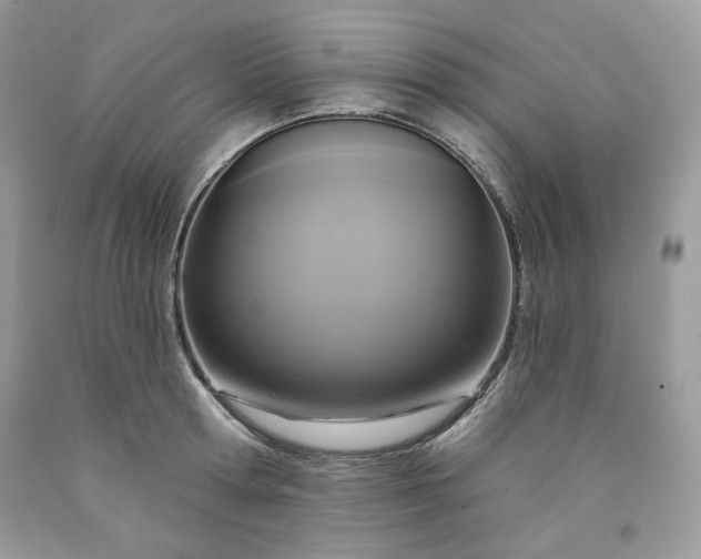 X0000091640802200709060936