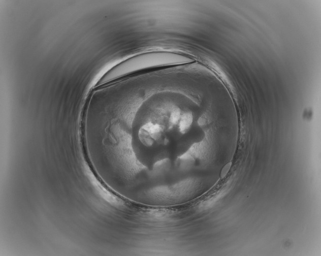 X0000091640803200709060936