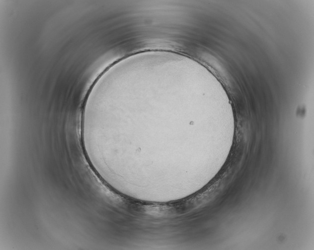 X0000091640804200709060936