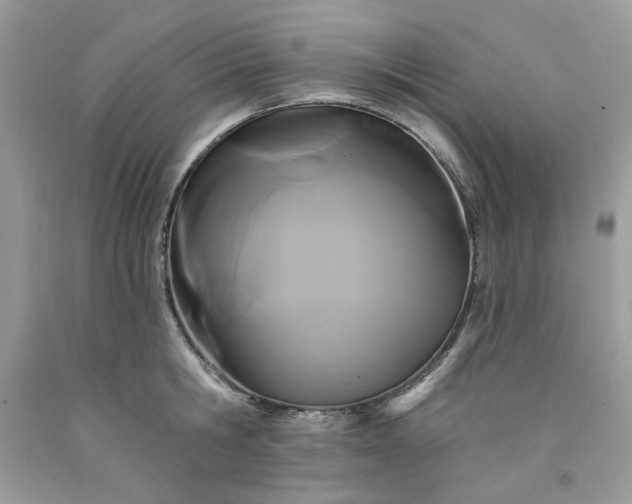 X0000091640806200709060936
