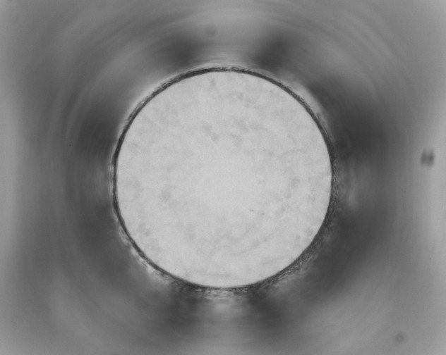 X0000091640807200709060936