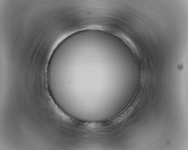 X0000091640808200709060936