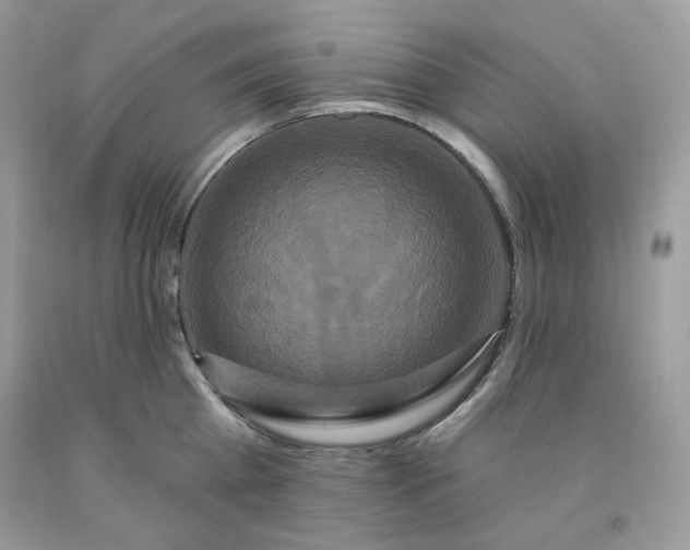 X0000091640809200709060936