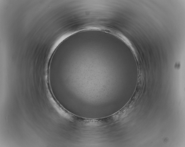 X0000091640811200709060936