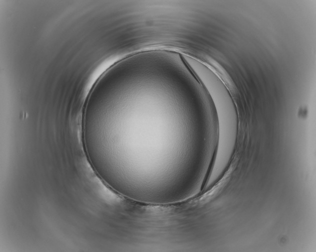 X0000091640812200709060936