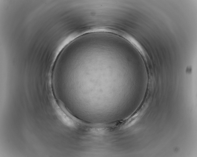 X0000091640813200709060936