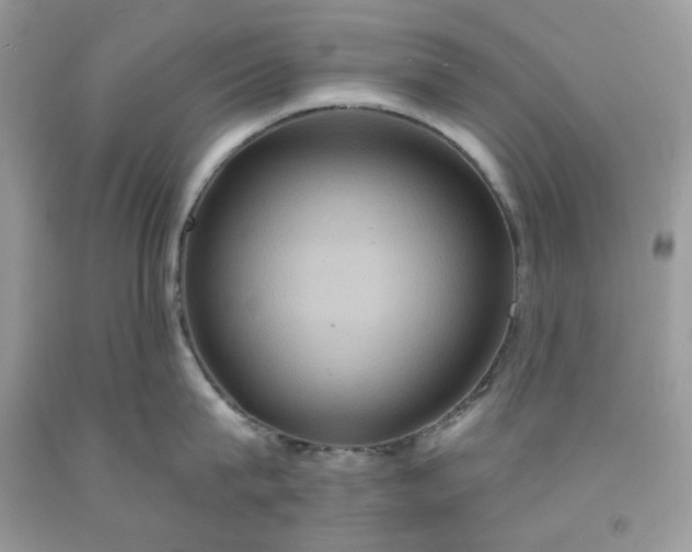 X0000091640815200709060936