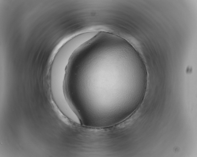 X0000091640816200709060936