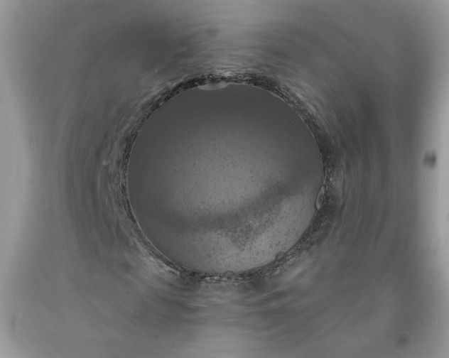 X0000091640817200709060935