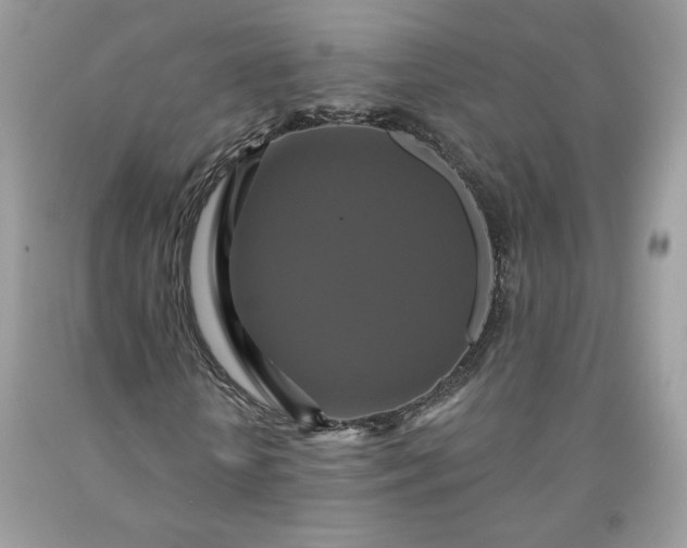 X0000091640818200709060935