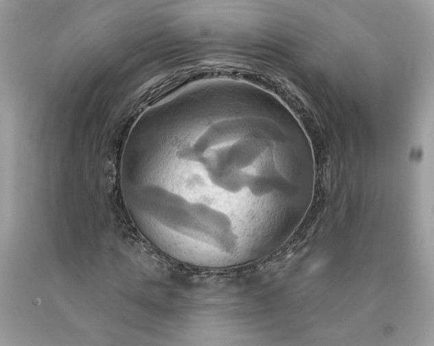 X0000091640821200709060936