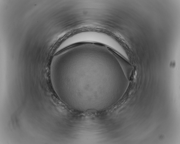 X0000091640822200709060936