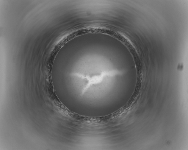 X0000091640823200709060936