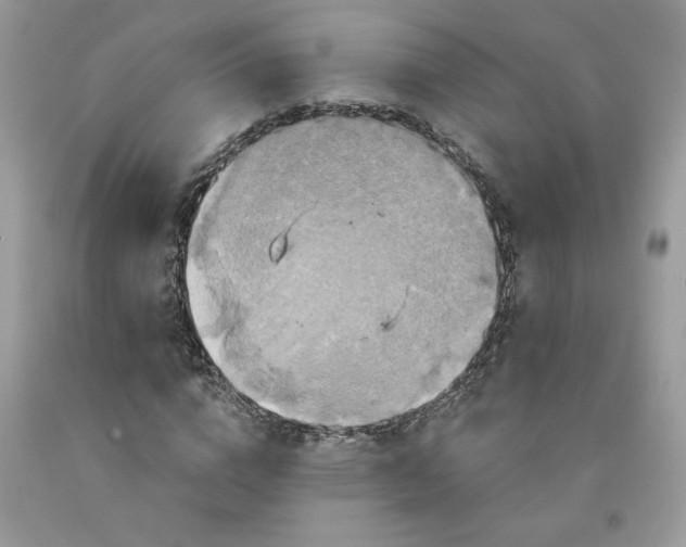 X0000091640824200709060936