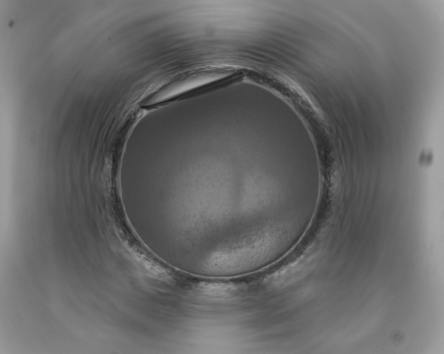 X0000091640825200709060936