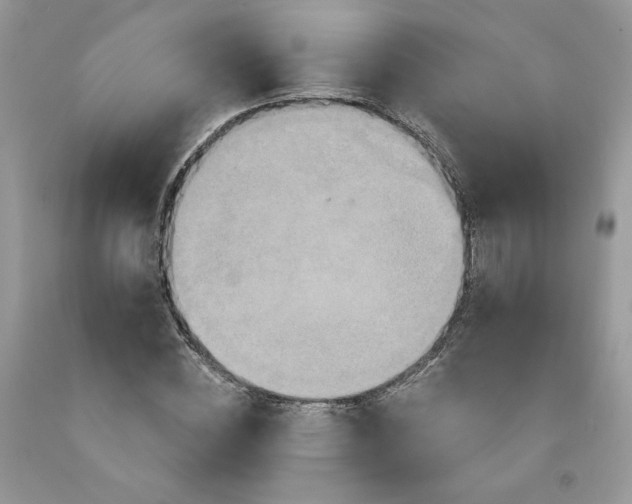 X0000091640828200709060936