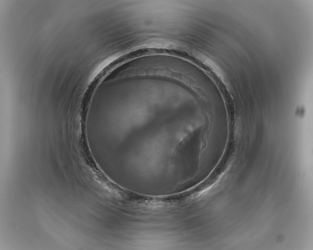 X0000091640829200709060936